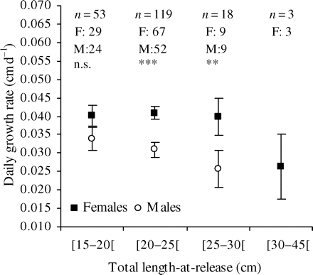 Comparison of daily growth rates (mean ± s.e.) by size category and sex. F, females; M, males; n, number of individuals; n.s., not significant. ** and *** represent significant differences between females and males at α = 0.01 and 0.001, respectively.