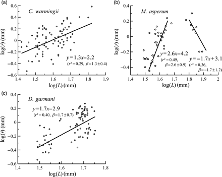 Relationship between logarithmic scale of the swimbladder equivalent radius r and standard length L of (a) C. warmingii, (b) M. asperum, and (c) D. garmani. Regression lines and equations are shown. The β (in parenthesis) indicates 95% confidence limits of the regression line.