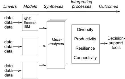 A schematic of possible steps relating data, models, meta-analyses, and process interpretation to the development of DSTs for EBM. Each ecosystem can have different models, such as NPZ (nutrient, phytoplankton, zooplankton), Ecopath, and IBM (individual-based models), evaluated through some meta-analysis, to inform DSTs relevant to essential ecosystem properties.