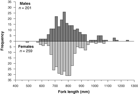 Length frequency distributions (in 20-mm increments) for male and female longtail tuna caught throughout the study region.