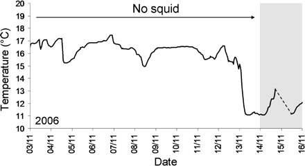 Temperature conditions before and during the formation of a spawning aggregation (shaded block) in 2006. The dashed line indicates a period during which no temperature data were recorded. The aggregations studied in 2003–2005 were already well-established upon discovery.