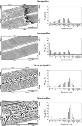 Morpho-sedimentary characteristics of the four main expected deposition zones of the extraction area off Dieppe, shown as sidescan sonar images and average grain-size histograms.