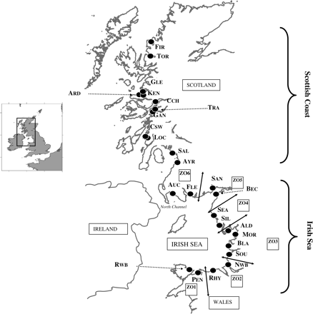 Sample locations for juvenile plaice, P. platessa, collected during the years 2001–2003. The three-letter code for each location is used to identify samples in the Appendix, with zones around the Irish Sea identified for 2001 samples by ZO1–ZO6.