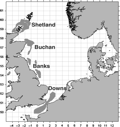North Sea herring spawning components. Generalized major spawning grounds inferred from the presence of newly hatched larvae in the ICES herring larval survey, 1996–2003.
