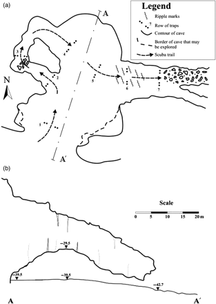 (a) Schematic representation of the Grotta dei Gamberi (modified from Colantoni et al., 1991). (b) Longitudinal section of the Grotta dei Gamberi, with indications of depth (modified from Colantoni et al., 1991). Drawings by GF.