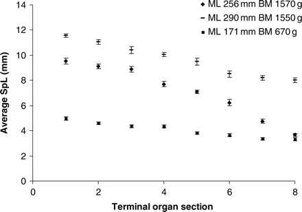 Spermatophores in the reproductive system of H. miranda. Mean SpL, with standard deviations, from each of eight sections of the Needham's sac and terminal organ (measured for 2–25 spermatophores, mostly 20 spermatophores), in three males; note that SpL decreases markedly from proximally stored to distally stored spermatophores.