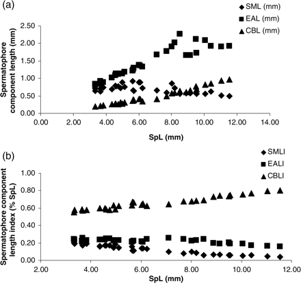 Size of the functional components of the spermatophores of H. miranda. (a) Absolute mean EAL, CBL, and SML in relation to mean total SpL. (b) Mean relative EAL, DBL, and SML as proportions of mean total SpL. The relationship is pooled data from four animals, and each point is the mean of 2–25 spermatophores (mostly 20), taken from each of the eight sections of the Needham's sac.