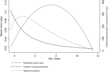 Fitted curves of sperm mass and number of spermatophores against SpL in H. miranda and the product of these curves, which gives the total investment of sperm in relation to SpL.