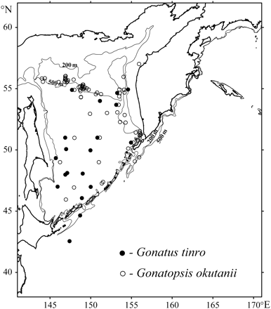 Mature G. tinro and G. okutanii in the Sea of Okhotsk and Northwest Pacific Ocean. The circles indicate trawls where at least one mature (stage IV, V, or VI) squid was captured.