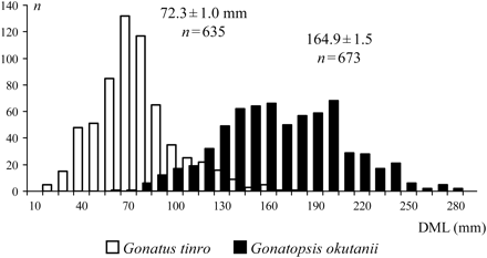 Size of G. tinro and G. okutanii in the Sea of Okhotsk and Northwest Pacific Ocean (DML, dorsal mantle length; n, number of squid captured).