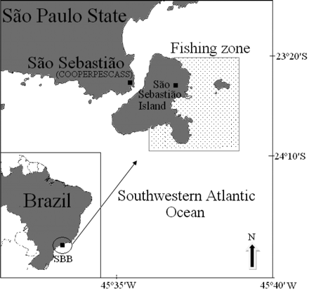 Map of the study area in the southeastern Brazil Bight (SBB), Southwest Atlantic Ocean (the area shown with dots is the squid-related fishing zone).