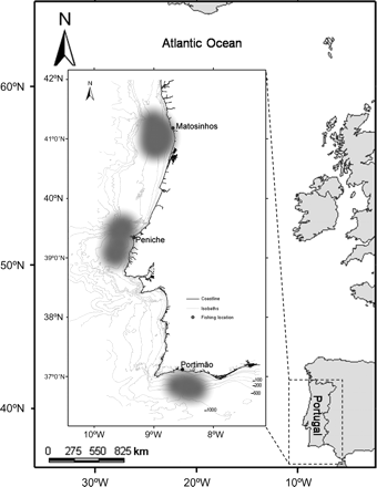 Map of the NE Atlantic with details of the study location off Portugal. The landing ports (Matosinhos, Peniche, and Portimão) and the main fishing areas (shaded grey) are identified, and bathymetric contours (isobaths) are provided in metres.