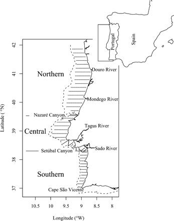 The survey region, with full and dashed lines representing the coast and the 200 m isobath contour, respectively. The dots along parallel lines mark 1 nautical mile long acoustic samples. The transect separation is 8 nautical miles.
