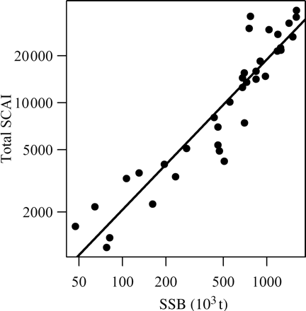 Relationship between the sum of the SCAIs and the SSB from 1972 to 2008 on log scales. The SSB is estimated using the standard assessment of this stock, but excluding the MLAI. The solid line represents a linear regression between the log-transformed values (r2 = 0.87, p < 0.001, slope = 0.96 ± 0.12).
