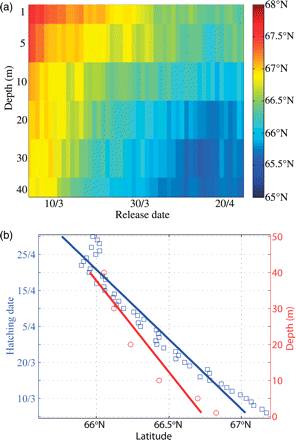 Characteristics of particles after 60 d of drift for 1989–2008: (a) mean latitude as a function of fixed depth and hatching date; and (b) effects on northward displacement when integrating hatching date over every fixed drift depth (blue) and when depth is integrated over every hatching date (red).