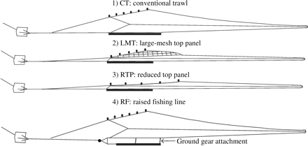 Conventional and modified trawls (text, Table 2).