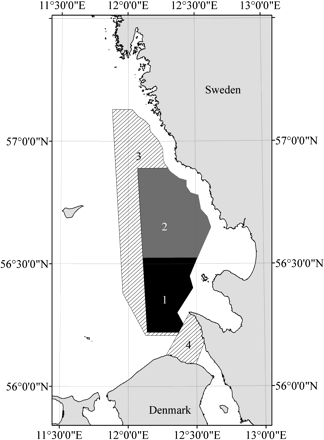 Map of closed areas in the Kattegat since 2009: (1) permanently closed for all fisheries; (2) permanently closed for fisheries targeting cod and closed for all fisheries during the first quarter; (3) seasonally closed (1 January–31 March) for fisheries targeting cod; and (4) seasonally closed (1 February–31 March) for fisheries targeting cod. Demersal trawls equipped with a SG, or a 300-mm SB, are allowed unless the closure applies to all fisheries.
