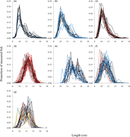 Length distributions of sandeels at fishing grounds where >20 hauls were taken in a 2-week period. (a) Scooter Plads (maximum distance between subarea midpoints 6 km); (b and c) Berwick Bank (maximum distance between subarea midpoints 13 km) in weeks 22 and 24, respectively; (d) Inner Shoal (maximum distance between subarea midpoints 25 km); (e) Sorel (maximum distance between subarea midpoints 41 km); (f and g) Elbow Spit (maximum distance between subarea midpoints 121 km) in weeks 16 and 18, respectively. Colours indicate subareas of the fishing grounds.