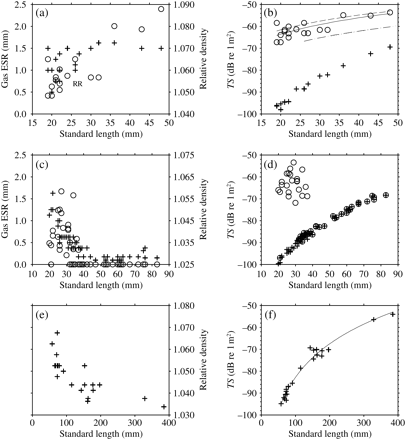 The measured gas ESR (open circle, primary y-axis) and body specific gravity, ρf, (plus sign, secondary y-axis) for individual fish vs. standard length, LS: (a) C. warmingii, Group I; (c) S. leucopsarus, Group II; (e) I. antrostomus, Group III. The ESR of ruptured bladders is displayed as “R” at an arbitrary value. The modelled 38 kHz TS of individual fish for the body only (plus sign) and body summed with the swimbladder (open circle): (b) C. warmingii, Group I; (d) S. leucopsarus, Group II; (f) I. antrostomus, Group III. Transformed TS = mlog10(LS) + b regressions from the measured data here are shown as solid lines, with the assumption that swimbladder gas volume is that required for neutral buoyancy, VG, as a dashed line; as a dotted line for modelling by Yasuma et al. (2010); and as a dashed-dotted line for the cylinder model using gas-volume measurements from Yasuma et al. (2010).
