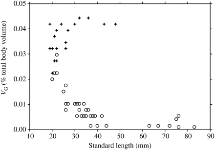 The calculated volume of gas required for neutral buoyancy, VG, expressed as a percentage of total body volume vs. standard length, LS: plus sign, C. warmingii (Group I); open circle, S. leucopsarus (Group II).