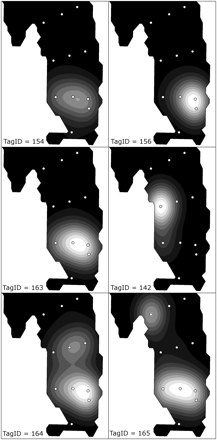 Detection densities of six selected cod within the inner and middle Eresfjord from 2009. Images have been made using the density estimation [kde2(MASS) function of R, bandwidth 1000 m], and are density-sliced in 10 layers from minimum (black) to maximum (white) density. Hydrophone positions are shown by the white circles.