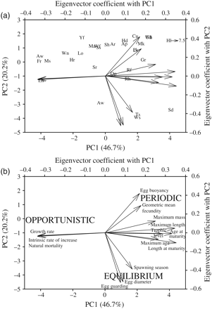 Relationships among species and life-history traits from the 30 most prevalent Scotian Shelf marine fish, as revealed by principal components (PC) analysis. The first two PC axes account for a total of 66.9% of the variation among species. (a) Variation among dominant species (labels from Table 1) in life-history space, together with vectors on separate axes (top right) that quantify the relative loadings of the 14 life-history traits (Supplementary Tables S1 and S2) on PC1 and PC2. (b) Variation in sign and strength of the 14 life-history traits and a schematic illustration of the three dominant life-history strategies (after Winemiller and Rose, 1992) associated with variation along PC1 and PC2.