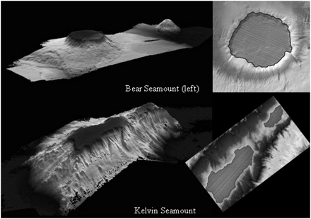 Examples of fishable area delineated for two seamounts used in the effort calculations in Table 2. Oblique view from multibeam sonar records of each seamount to the left. Note the steep sides assessed as unfishable. Fishable areas of summits outlined on orthogonal views of bathymetric coverages to the right.
