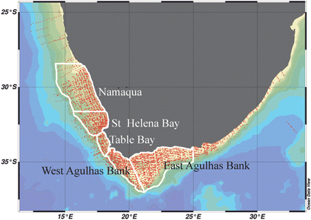 Distribution around southern Africa of the ∼7300 Chl a profiles used in the study. Five subregions, characterized by local hydrographic dynamics, are demarcated by white lines.
