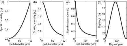 Size dependence of model parameters from the literature. Size-dependent (a) specific mortality μ0, (b) grazing mortality μh, and (c) specific absorption at λ = 676 drawn against cell diameters, with references given in text. (d) Daylength for the study area is calculated based on latitude following Spencer's formulae.