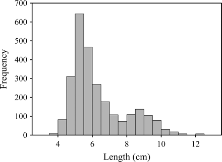 Standard length (cm) and frequency histogram for yellow tang measured during June/July 2007 and November 2008 (n = 2633).