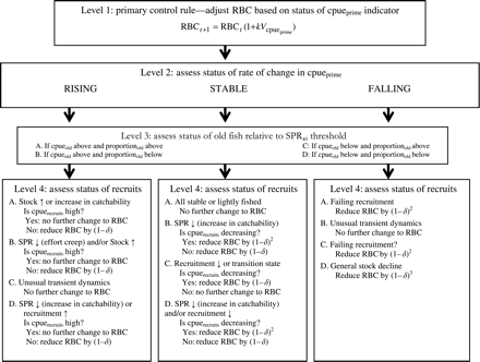 Flowchart diagram of the four levels of the decision tree. At Level 1, the primary control rule calculates the new RBC based on the catch rate of the prime-sized fish (cpueprime). Note that δx, where x = 1, 2, or 3, is the reduction factor, expressed as the remaining proportion of the total. For example, a 10% reduction from an action where the RBC is reduced by (1 − δx) would imply that δ = 0.9 and x = 1.
