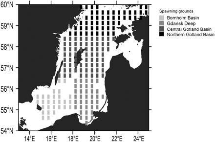 Major sprat egg distribution areas (50–60 m depth) in the Baltic Sea. Rectangles indicate primary horizontal resolution; different shadings indicate aggregation to spawning grounds for later analysis.