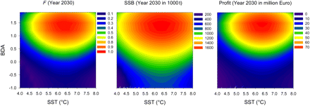 Ecological–economic optimization for a range of SST and BDA values: Results after 20 years modelling time, i.e. after reaching the steady state, are given for instantaneous fishing mortality (F; left panel), SSB (middle panel), and profit (right panel).