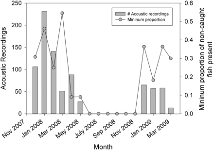 Acoustic recordings of wild fish at the Osen spawning ground. Shown are the total number of acoustic signals detected in different months, and the minimum proportion of fish equipped with acoustic transmitters still at large that were detected in a given month, i.e. this number is higher if there had been any natural mortality or unreported catches.