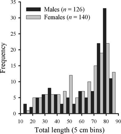Length frequencies of male and female B. minispinosa used for age determination collected from fishery-independent surveys and fisheries observers' samples, 2004–2007.