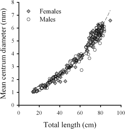 Relationship between MCD and TL for female (n = 111) and male (n = 106) B. minispinosa, where MCD = 0.8294 e0.0248 TL (r2 = 0.967).