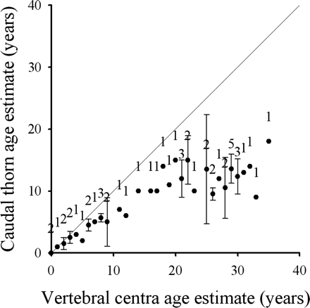 Relationship between the vertebral centra band counts and the mean band count of caudal thorns from B. minispinosa (n = 50). The 45° line represents 1:1 agreement between band counts. The error bars indicate ±the 95% confidence intervals, and the sample size is shown above the symbol.