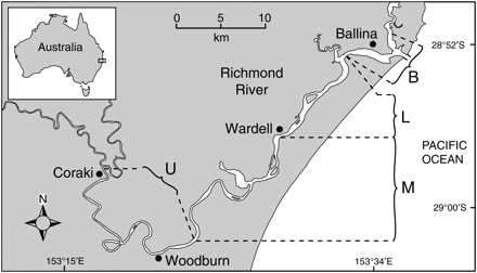 Spatial partitions of the lower Richmond River (NSW, Australia) used for the 2008 post-fish-kill sampling surveys. The four sections are Ballina (B), Lower (L), Middle (M), and Upper (U).