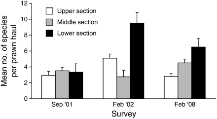 Mean number of species recorded per prawn-haul (+s.e.) during the September 2001, February 2002, and February 2008 fisher-dependent sampling. Results are given for sections U, M, and L (n = 5–10 hauls).