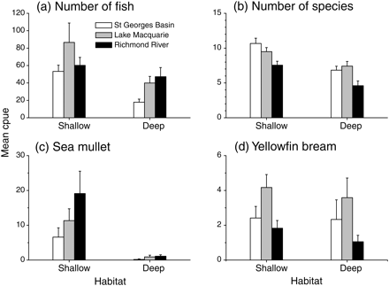 Mean cpue (number caught per multimesh gillnet per hour; +s.e.) of the total numbers of (a) fish, (b) species, (c) sea mullet, and (d) yellowfin bream caught in multimesh gillnets in shallow and deep habitats of St Georges Basin (n = 12), Lake Macquarie (n = 12), and the Richmond River (n= 18) during February 2008 in fishery-independent sampling.