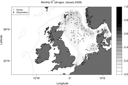 Fitted trend surface (without temporal smoothing) for rescaled cod abundance Ñ1/3 for January 2008. Grey lines indicate the 250-m depth contour, used to limit the study area. Darker areas indicate higher values of Ñ1/3. Open circles, data points from research-vessel surveys (in this case, IBTS NS Q1); closed circles, data from observer trips on commercial vessels.
