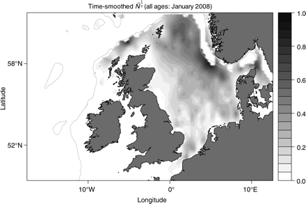 Fitted trend surface (with temporal smoothing) for rescaled cod abundance Ñ1/3 for January 2008. Grey lines indicate the 250-m depth contour used to limit the study area. Darker areas indicate higher values of Ñ1/3.