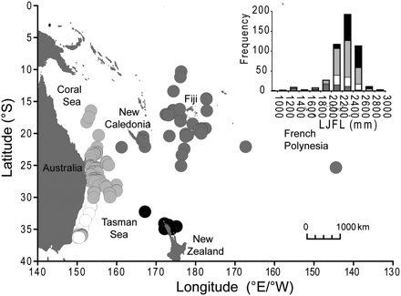 Map of the SWPO showing the locations of the striped marlin (n = 425) sampled and the length frequency distribution for each fishery. Fisheries included are the Australian commercial longline (light grey; AUS COMM), the Australian recreational (white; AUS REC), the New Zealand recreational (black; NZ REC), and the longline fisheries from PICTs (dark grey; PICT COMM).