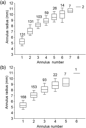 Box plots of annulus radius (mm) for first dorsal fin-spine four, level one-fourth CW of (a) female and (b) male striped marlin (n = 299). The horizontal line in each box plot represents the median annulus radius, and the boundaries represent 25th and 75th percentiles.