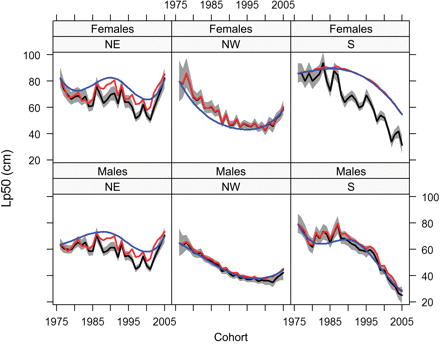 Life-history Lp50 estimates for 3-year-old cod plotted against cohort for each sex and subpopulation. The black line shows the model fit in which temperature and cod biomass were used in addition to the smooth trend in cohort; 95% pointwise credible intervals are denoted by the shaded region. The red line represents the same model, but with temperature fixed at the 1975 level to show the temperature effect, and the blue line shows the cohort effect with both temperature and conspecific biomass fixed at 1975 levels. Note that the credible intervals incorporate error from the growth model.