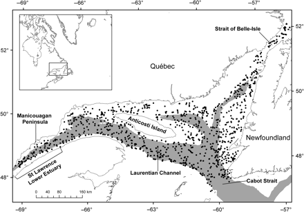Map of the study area showing the lower estuary and northern Gulf of St Lawrence. The locations of trawl sets are shown as black dots. The grey area indicates the channels (depth >250 m).