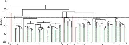 Hierarchical cluster dendrogram of stations in the study area based on fish species composition and catch in numbers. Groups A–I are those for which the similarity coefficient between stations is greater than 40%. Groups rejected based on the similarity profile analysis (α = 0.05) are indicated as dotted lines. The Bray–Curtis coefficient was used to determine similarity, and data were square-root transformed.