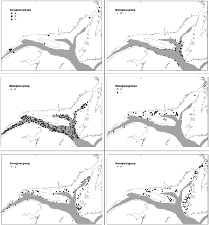 Spatial distribution of nine groups of stations in the lower estuary and northern Gulf of St Lawrence, as defined by hierarchical cluster analysis and based on fish species composition and catch in numbers.