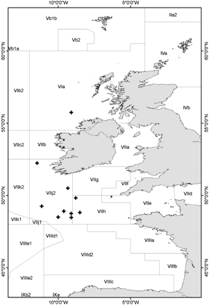 Map of the sampling area, plus signs representing the catch locations of the boarfish used in this study.