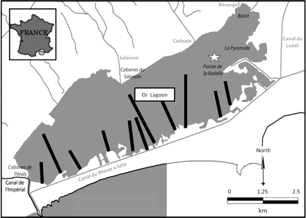 The Or Lagoon, showing the locations of the fixed net barriers (black bars) and the release location (star).